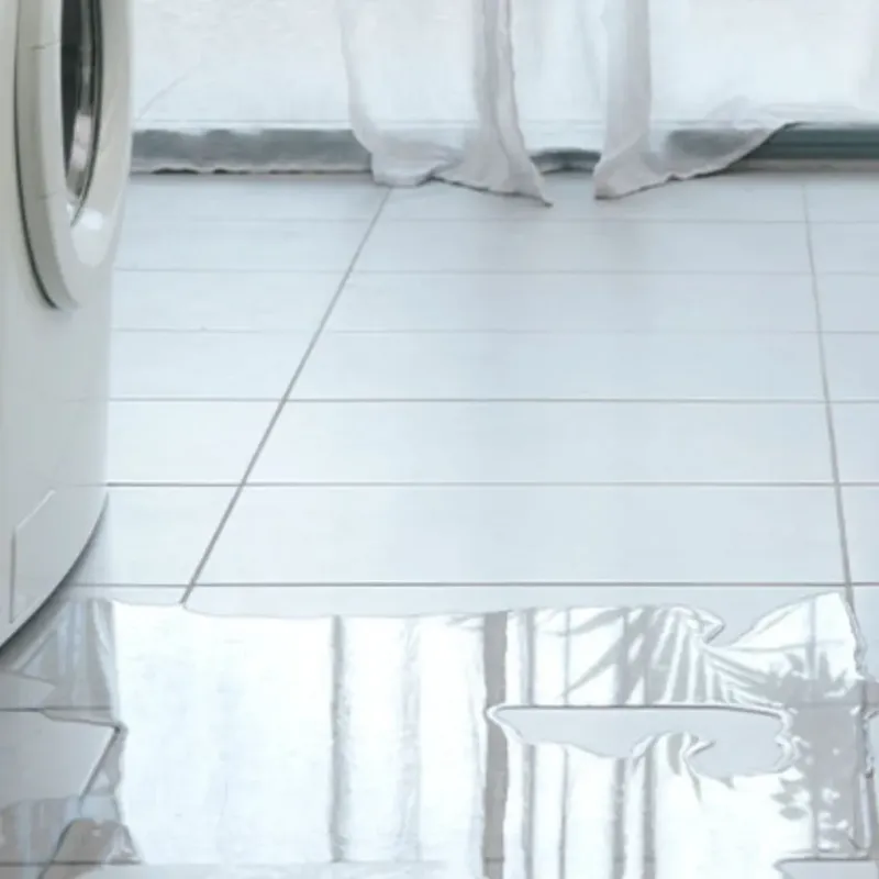 Appliance Leak Cleanup in Golden Valley, NV