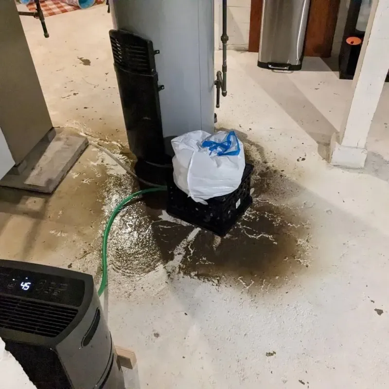 Sewage Backup Cleanup Service in Golden Valley, NV